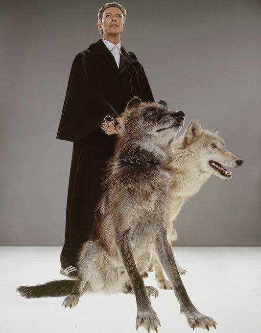 David Bowie, The Pack 2001 by Markus Klinko