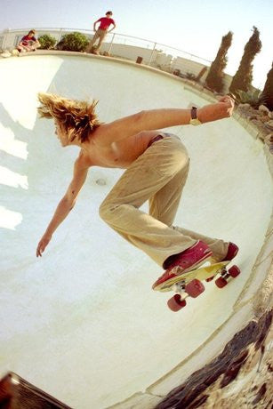 Radical Palms, Santa Monica, 1976 by Hugh Holland