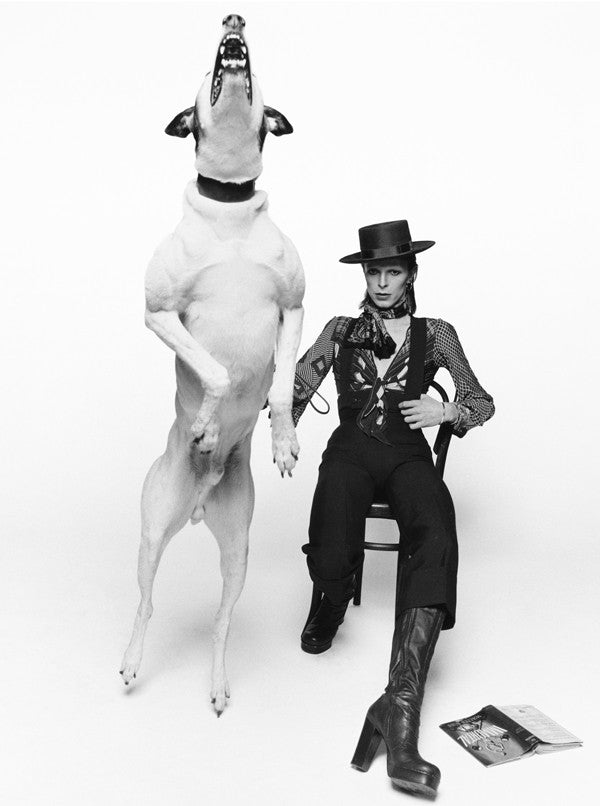 David Bowie, Diamond Dogs, London 1974 by Terry O'Neill