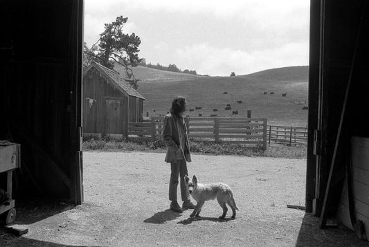 Neil Young, Broken Arrow Ranch by Henry Diltz