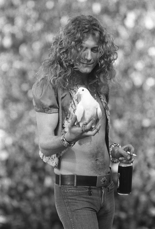 Robert Plant, San Francisco, CA 1973 by Neal Preston