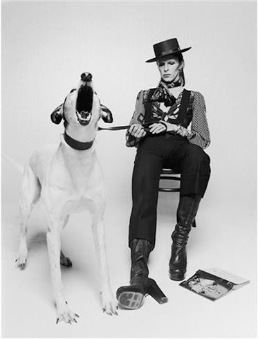 David Bowie, Diamond Dogs 2, 1974 by Terry O'Neill