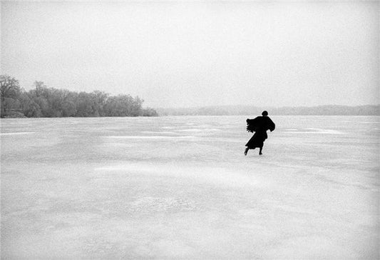 Joni Mitchell by Joel Bernstein